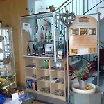 シュタットホテル プフェファーミューレ 3* ゲンゲンバッハ