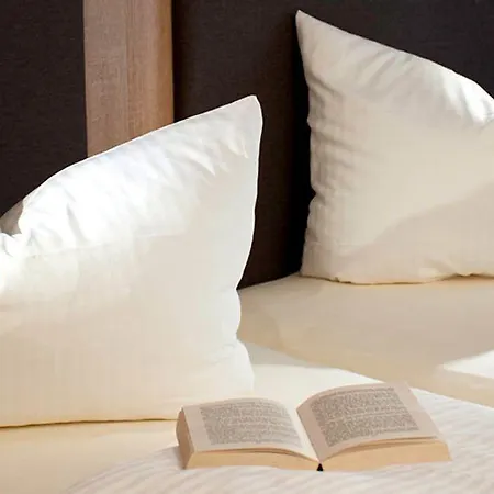 Stadthotel Pfeffermuehle Gengenbach